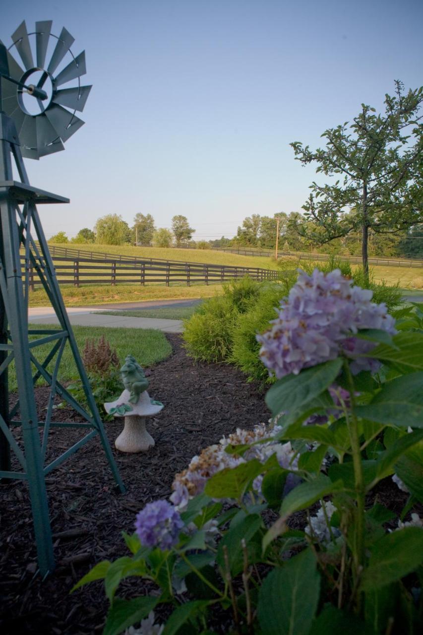 Pillow And Paddock B&B La Grange Buitenkant foto